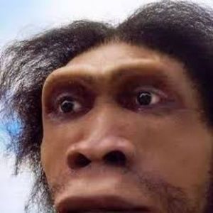 Meet your Posher, Mackenzie